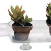 Planter Table-Top-Planter (Set Of Two)