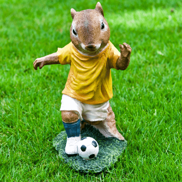 ISCG004 Squirrel Football