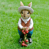 Iscg008 Tomato Gardening Rabbit Front