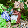 Mr Violinist The Rabbit