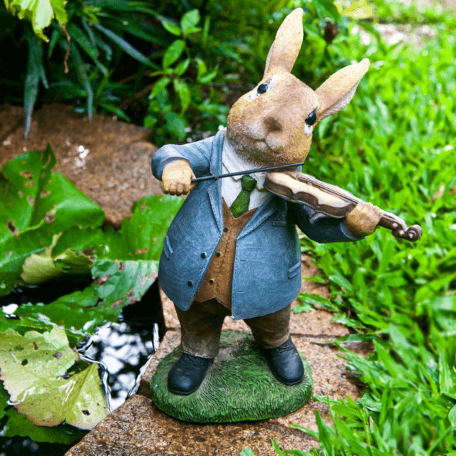 ISCG010 Violin Rabbit