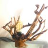 The Resting Branch Driftwood Lamp