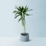 Greeno (S) – Floor Planter