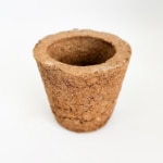 Eco friendly Gobar pot with plant