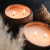 Coconut Shell Candle – Handcrafted & Petroleum Free | Lemongrass | Pack of 2