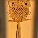 Macrame Owl wall hanging