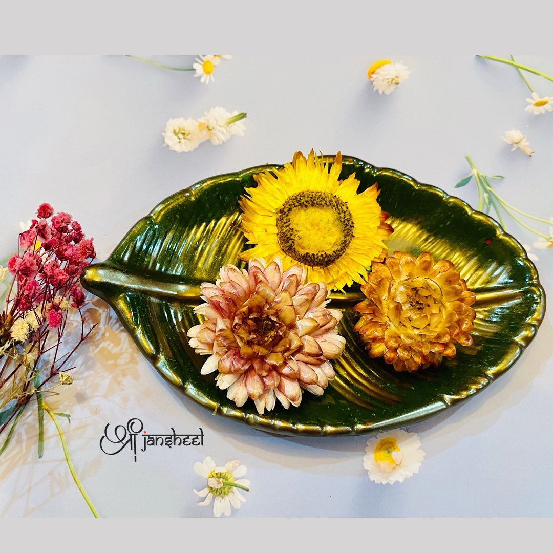 Juniper Aesthetic Hued Leaf Platter Tray