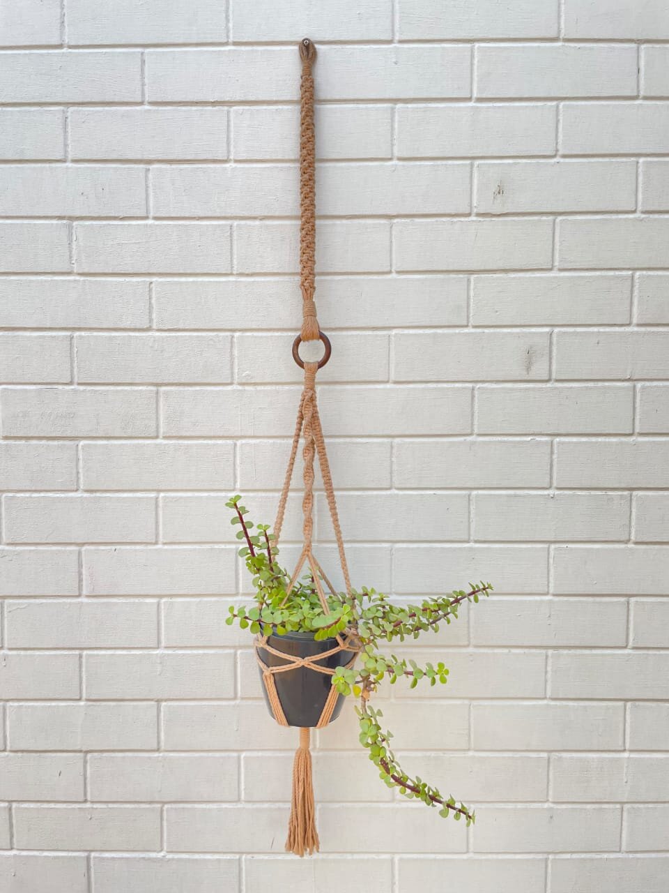 Handcrafted Knotted Natural Macramé Cotton Plant Hanger