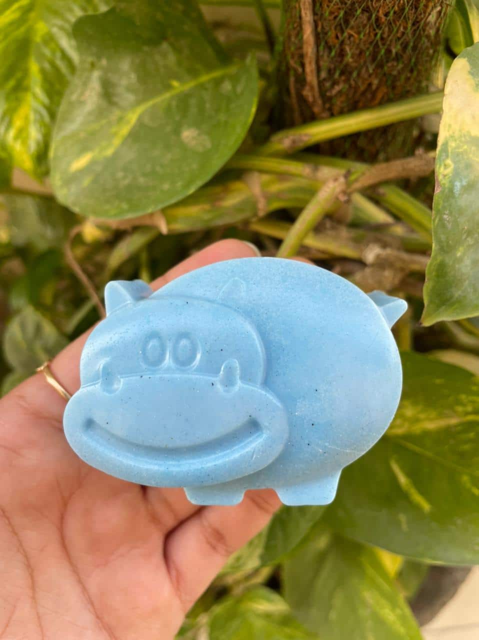 Toy Soap