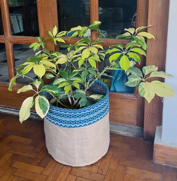 Blue Stripe Pot Cover1