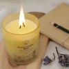 Aroma Candle – Forest Berry
