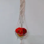 Macrame Plant hanger