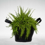 Flower Pot – 9 Inches { Rubber }