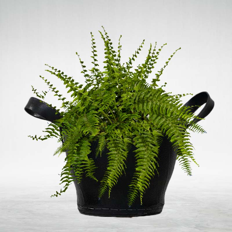 Flower Pot – 9 Inches