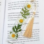 Transparent Bookmark