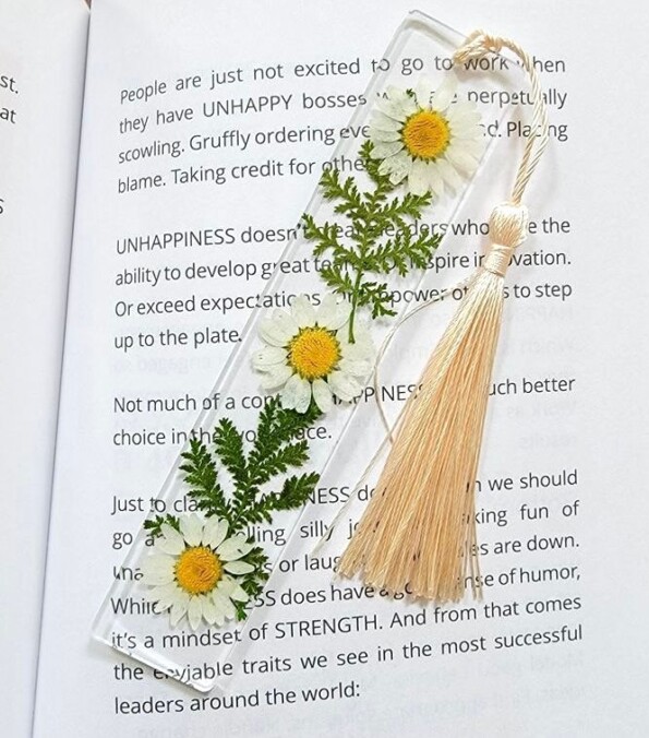 Transparent Bookmark