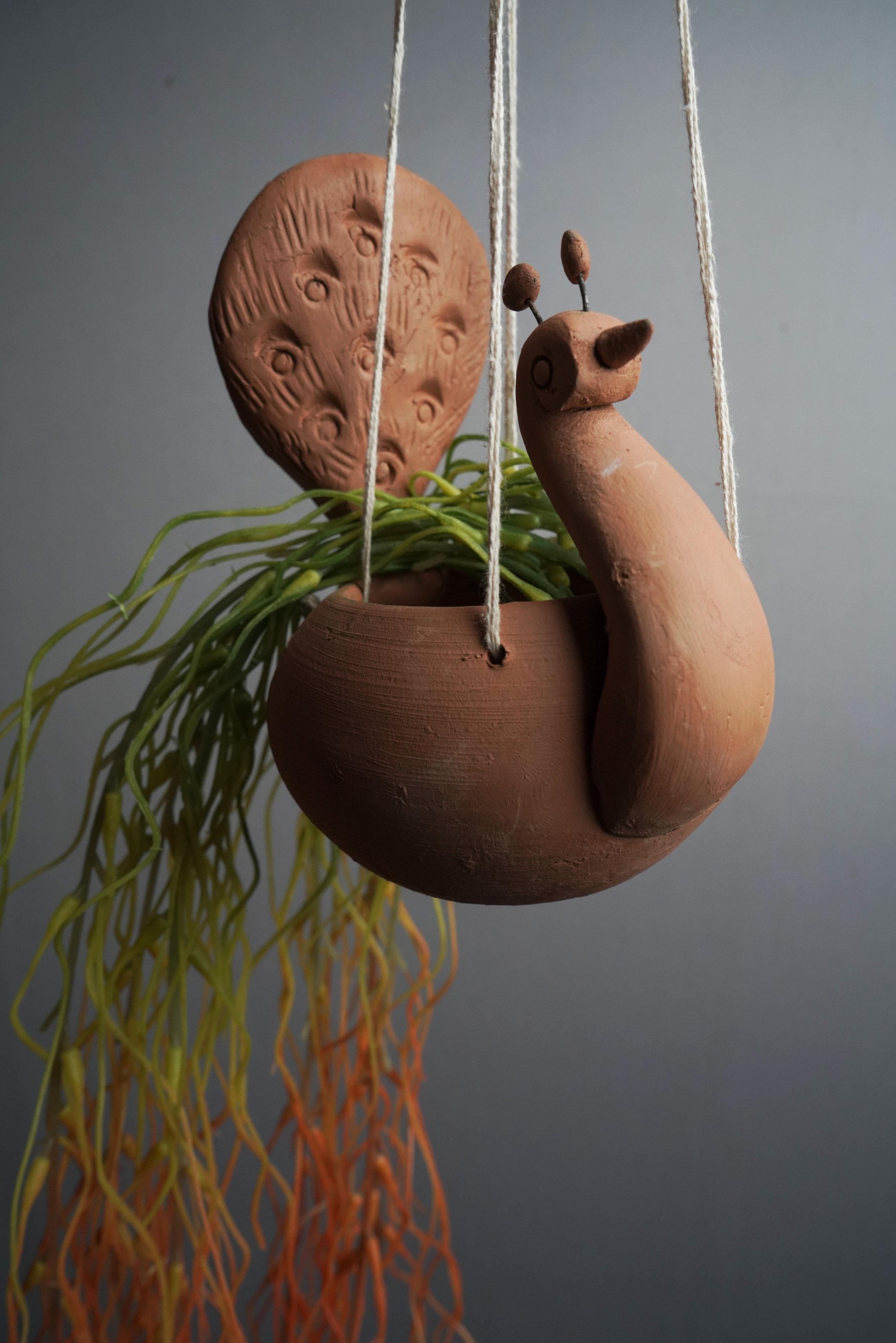 Hanging Succulent Pot