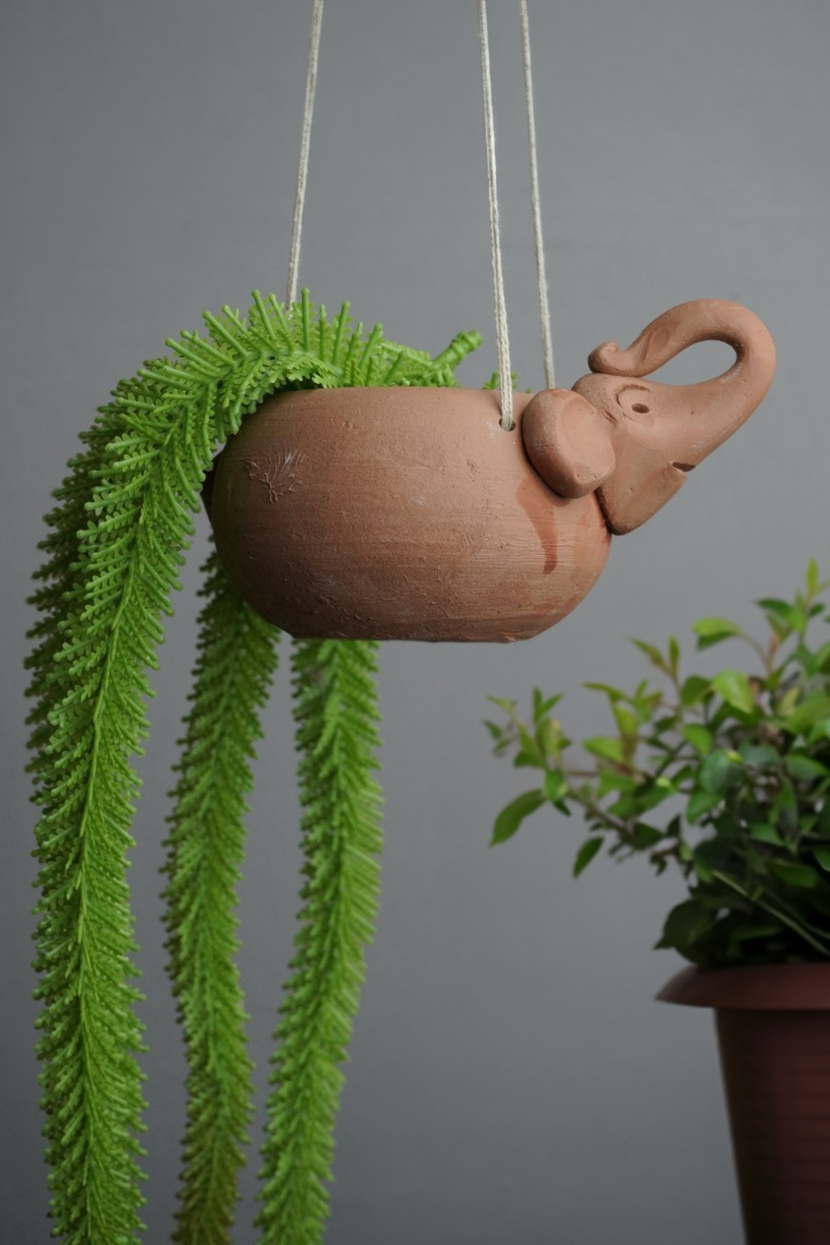 Hangings Handmade Pot