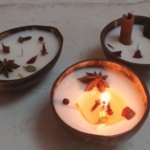 Coconut shell candle