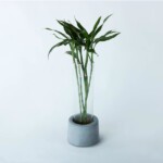 Greeno (B) – Floor Planter