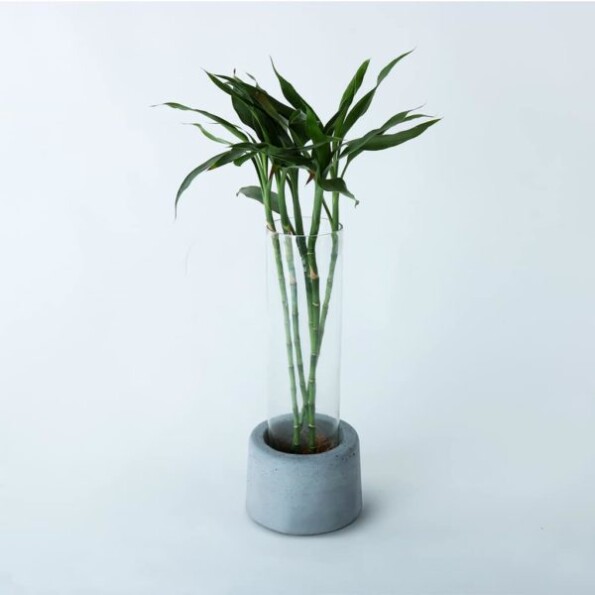 Wonderwheelstore 31 Concrete Handmade Big Floor Planter Gmpl003 1 600x600